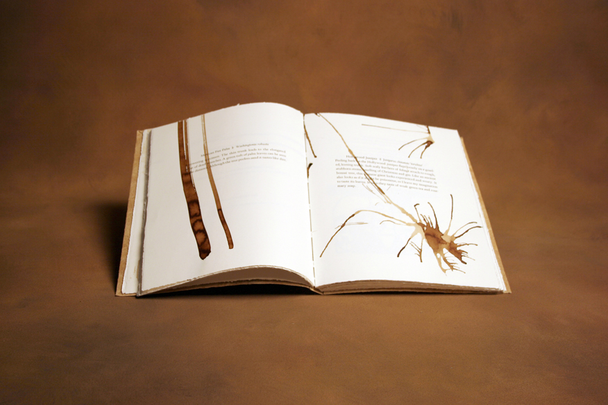 Book art image