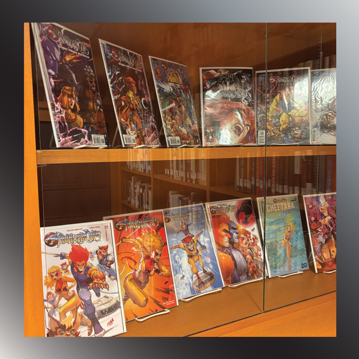 ThunderCats